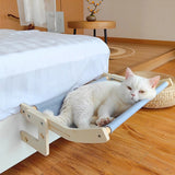 Cloud Cat Oasis™