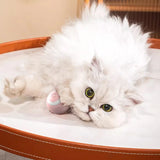 Interactive Electric Cat Ball