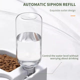 Pet Food and Water Bowl Set