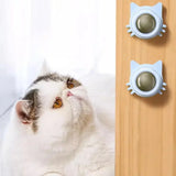 Catnip Balls for Cats