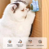 Catnip Balls for Cats