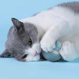 Interactive Electric Cat Ball