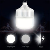 Portable LED Camping Light
