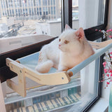 Cloud Cat Oasis™